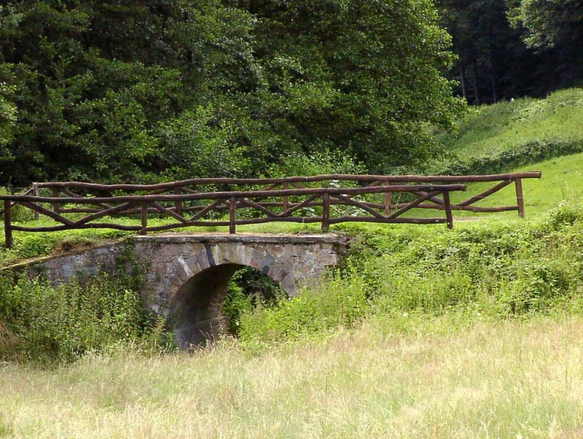 Waldblick Appartement Ober-Hambach Buitenkant foto