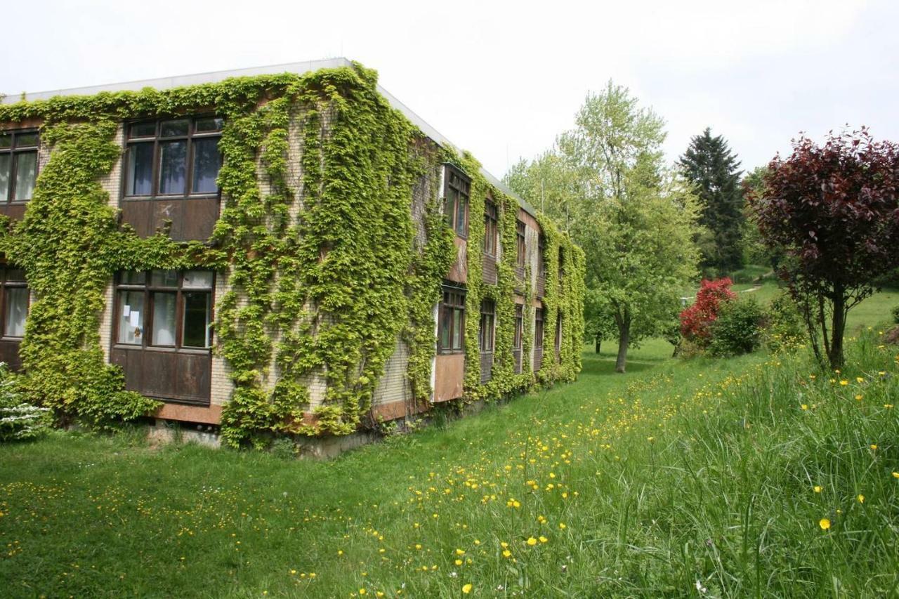 Waldblick Appartement Ober-Hambach Buitenkant foto