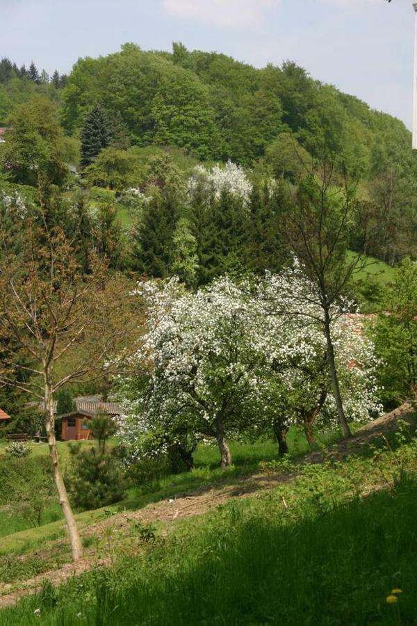 Waldblick Appartement Ober-Hambach Buitenkant foto